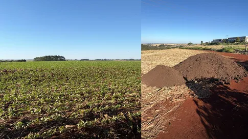 Entenda a origem do mau cheiro que afeta diversas regiões de Apucarana