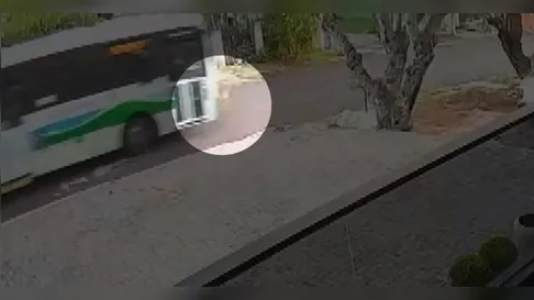 Motorista de ônibus que atropelou e matou cão é indiciado no PR