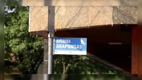 Por que Arapongas tem ruas com nomes de pássaros? A resposta está na política