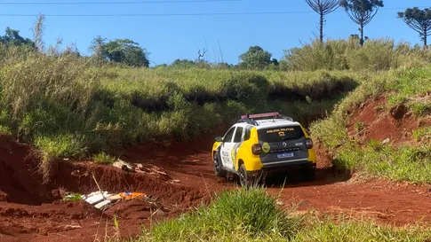 PM faz buscas por suspeito de violência doméstica que fugiu para área de mata em Apucarana