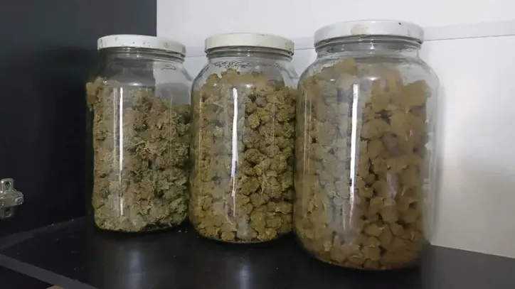 Polícia Civil descobre laboratório 'sofisticado' de maconha em Maringá