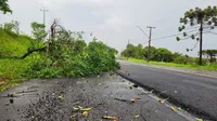 Veja fotos dos estragos do temporal nesta quinta-feira em Apucarana