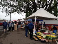 Movimento é grande nos cemitérios de Apucarana no Dia de Finados; veja