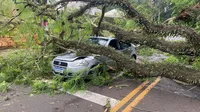 No carro estavam o condutor, de 39 anos, e o passageiro, de 44 anos.