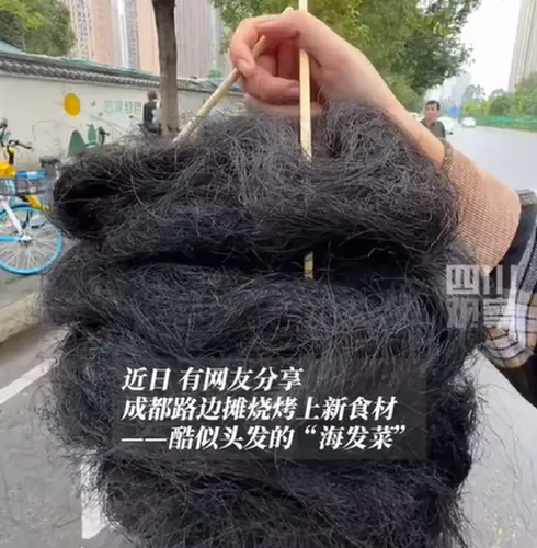 Comida chinesa semelhante a cabelo humano viraliza na internet