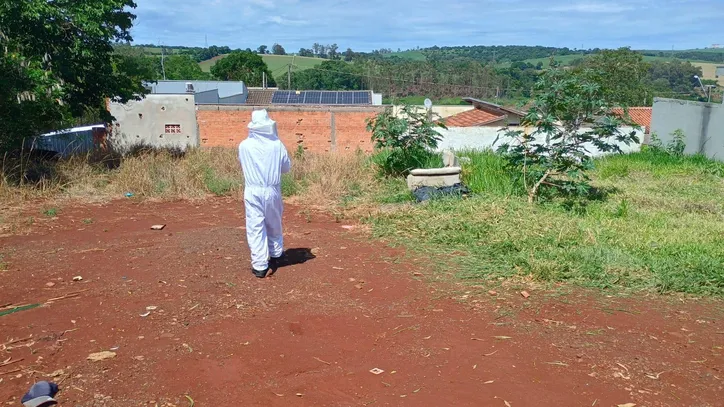 Trabalhador vai roçar terreno e acaba atacado por abelhas em Apucarana