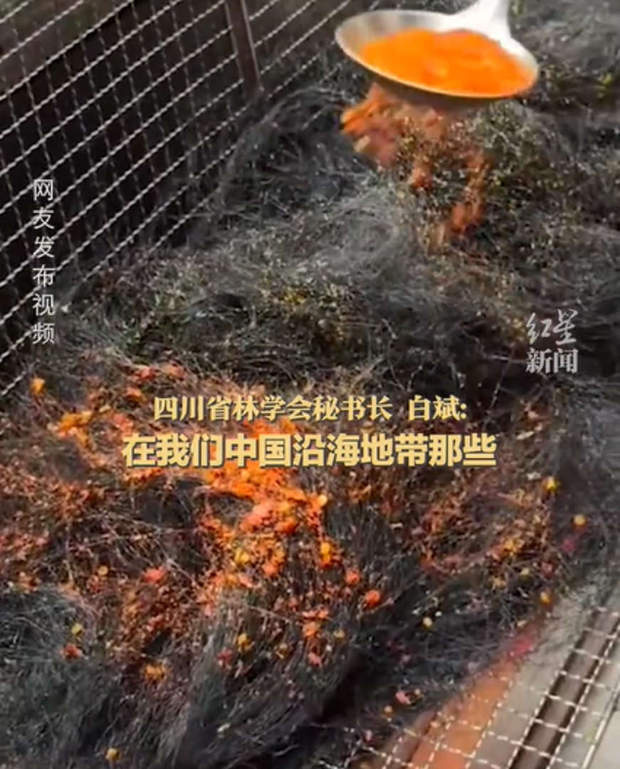 Dentro da cultura chinesa tradicional, o produto é usado em caldos e sopas