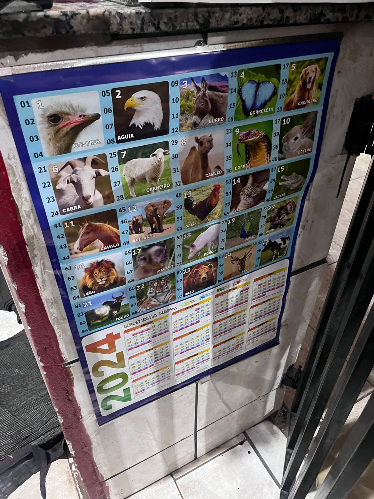 Em fiscalização em Arapongas, Aifu encontra máquinas de jogos de azar