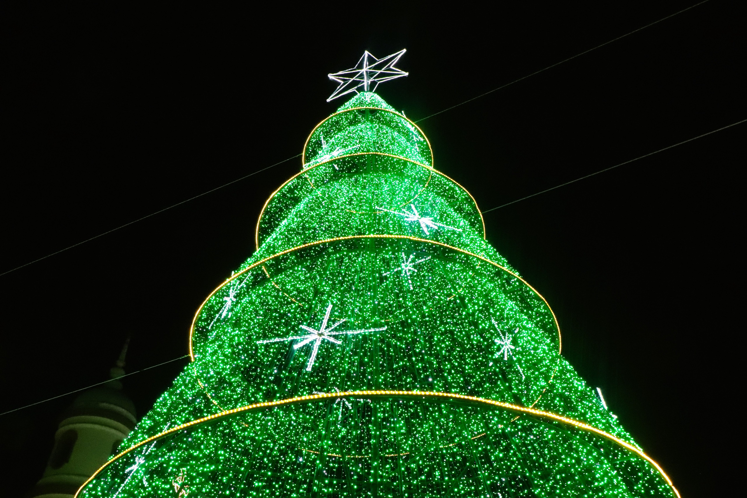 Natal Luz 2024 em Arapongas