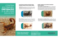 Escorpiões são capturados após menino de 3 anos morrer em Cambará