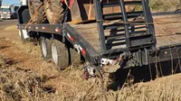 Pai e filho morrem em grave acidente na BR-487, em Campo Mourão