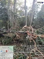 Vendaval durante a madrugada deixa estragos em Apucarana; veja fotos