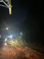 Vendaval durante a madrugada deixa estragos em Apucarana; veja fotos