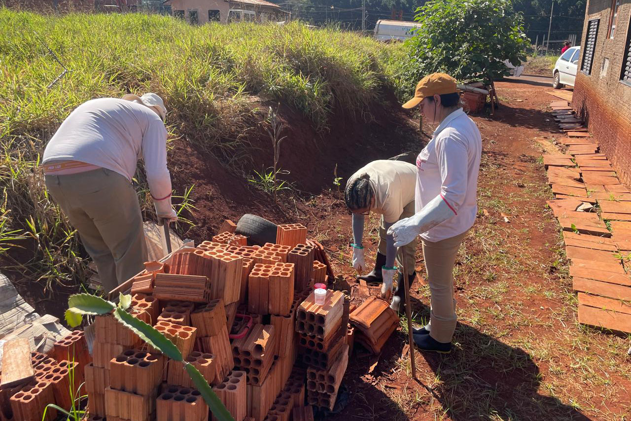 Escorpiões são capturados após menino de 3 anos morrer em Cambará