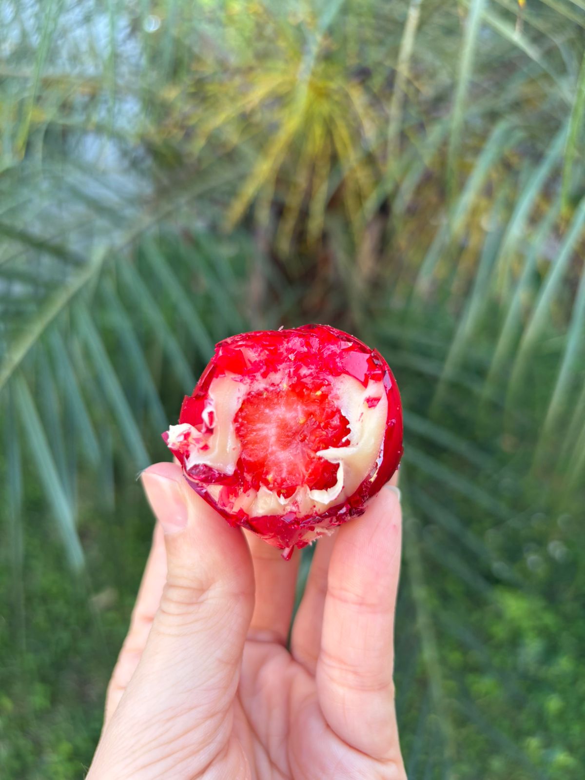 Febre do “morango do amor” eleva faturamento de confeiteiras em 80% no PR