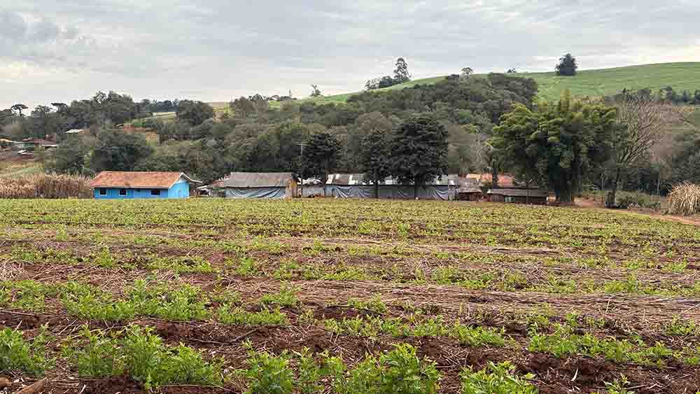 Vale do Ivaí é destaque no concurso Seda Paraná