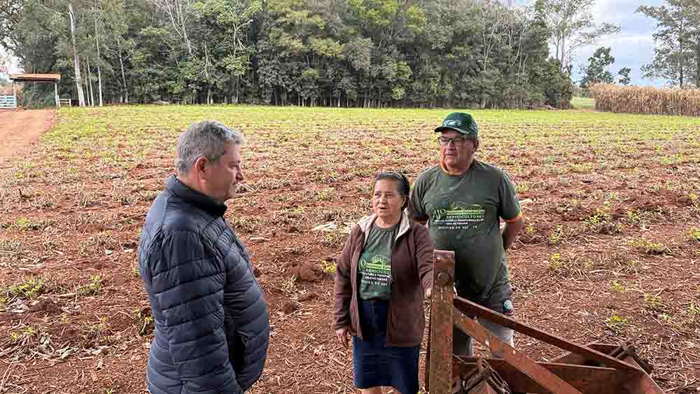 Vale do Ivaí é destaque no concurso Seda Paraná