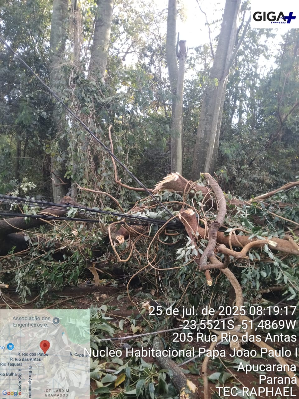 Vendaval durante a madrugada deixa estragos em Apucarana; veja fotos