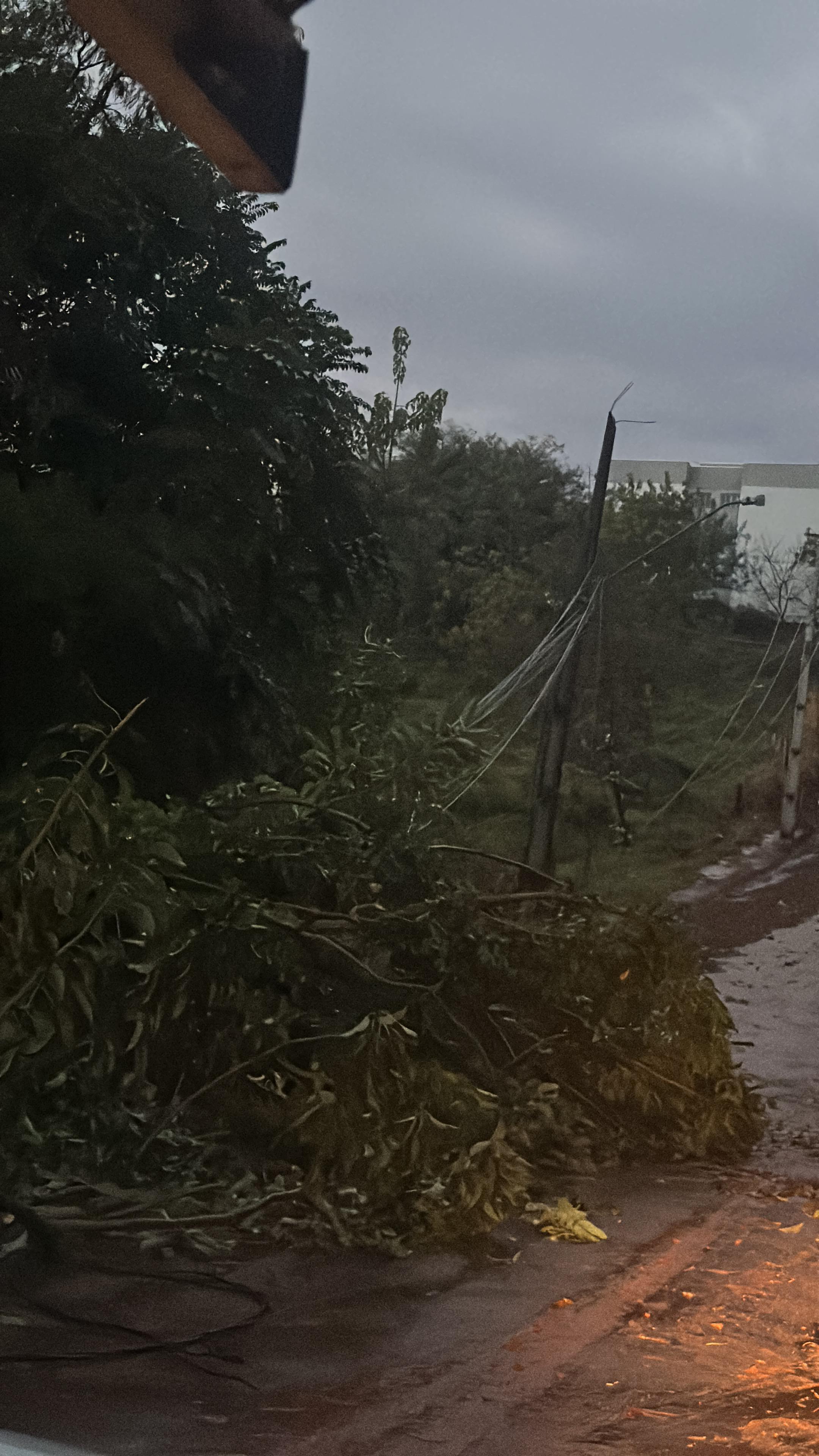 Vendaval durante a madrugada deixa estragos em Apucarana; veja fotos