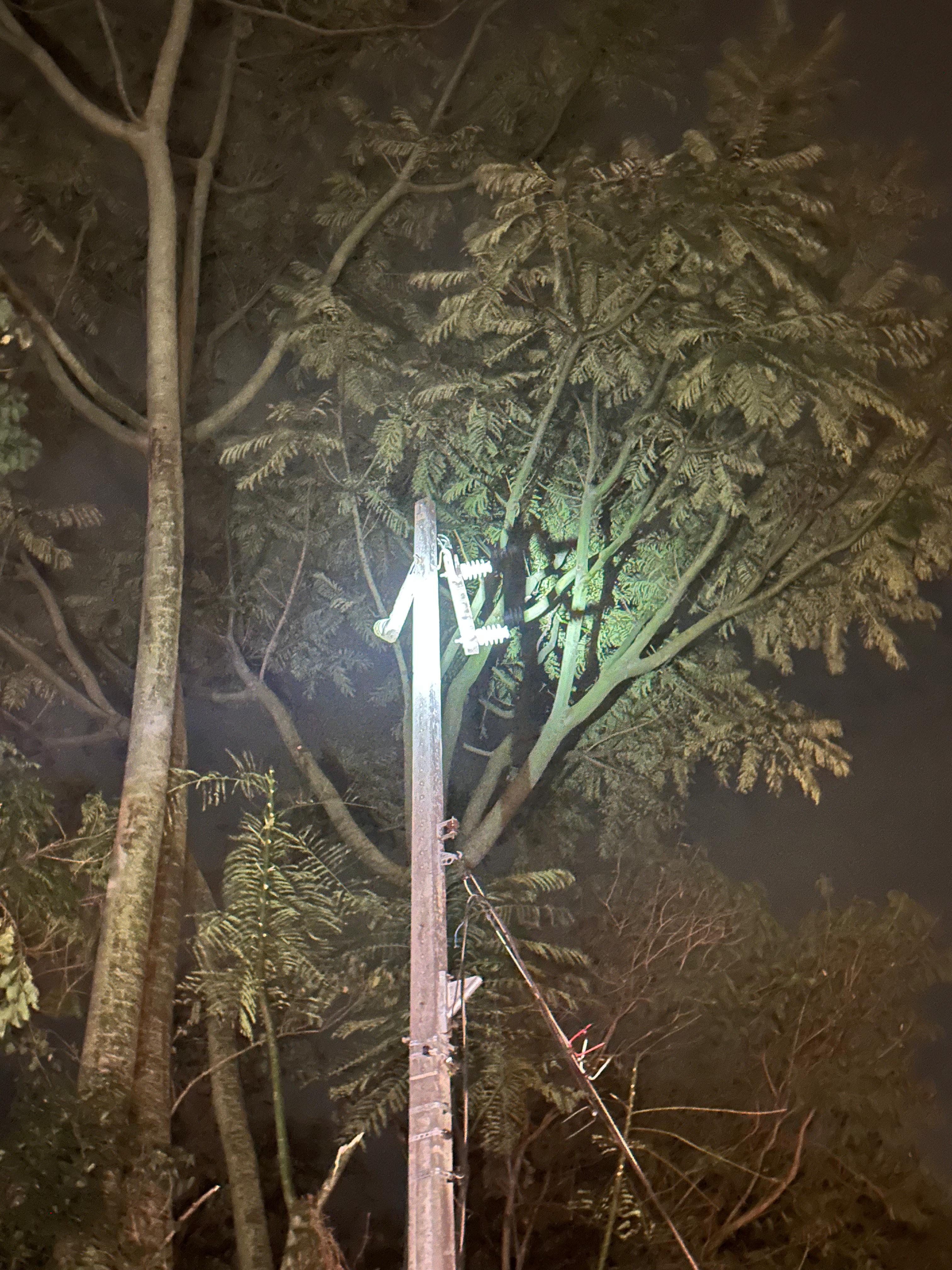 Vendaval durante a madrugada deixa estragos em Apucarana; veja fotos