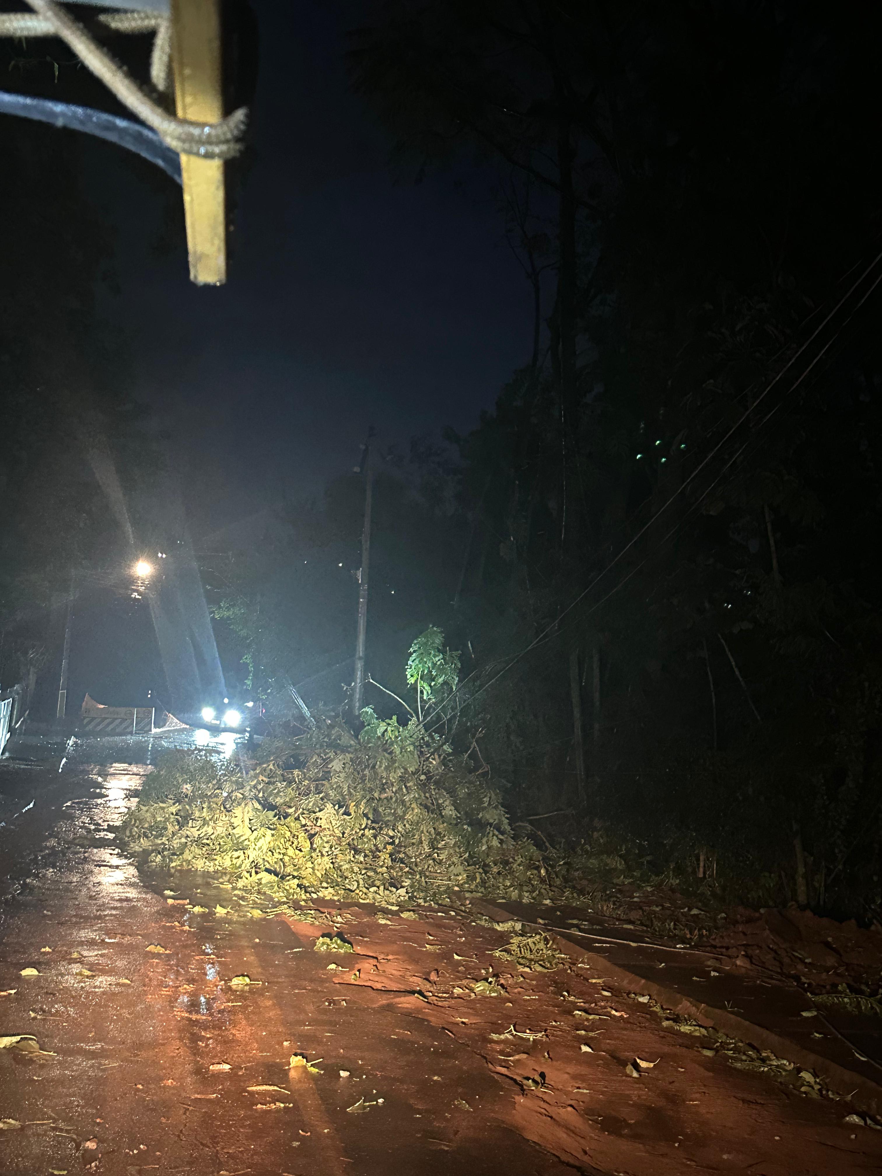 Vendaval durante a madrugada deixa estragos em Apucarana; veja fotos