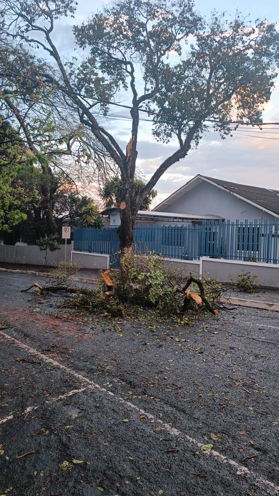 Vendaval durante a madrugada deixa estragos em Apucarana; veja fotos