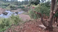 Funcionária cai de barranco de 25 metros de empresa em Apucarana