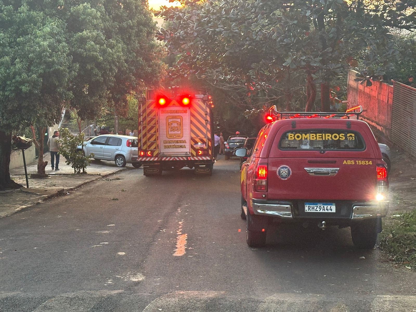 Árvore cai sobre dois veículos em bairro de Apucarana; veja