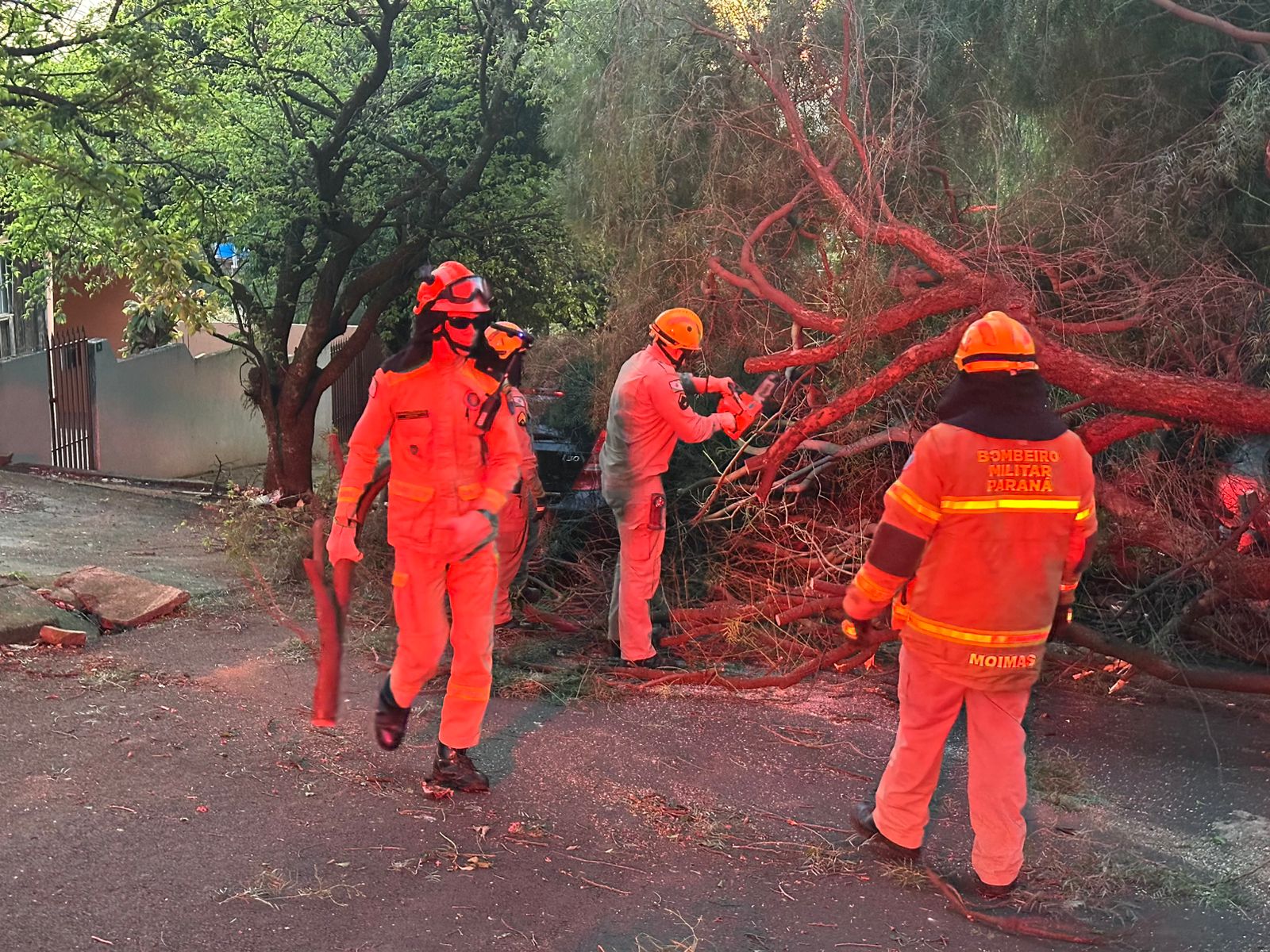 Árvore cai sobre dois veículos em bairro de Apucarana; veja