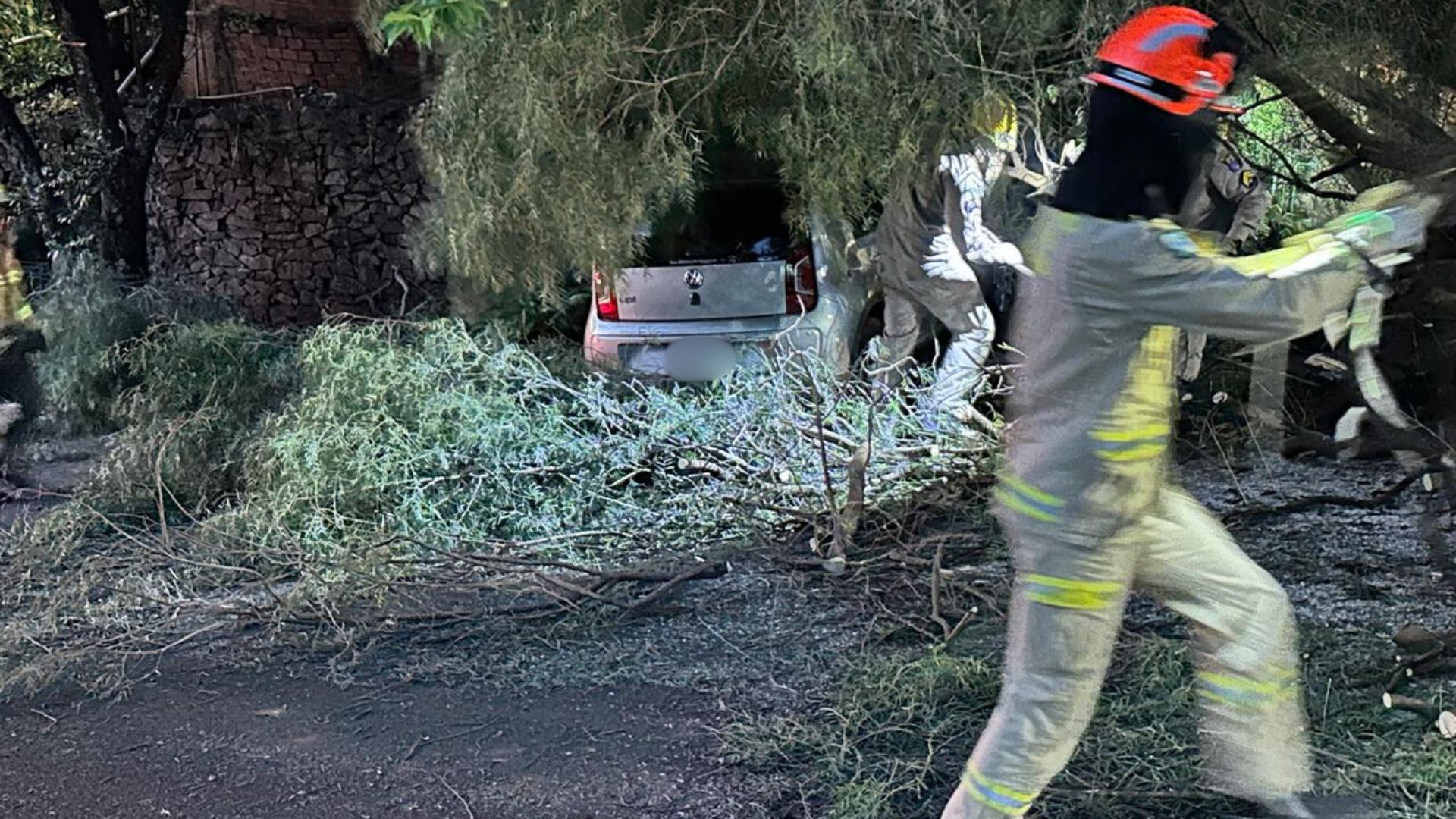 Árvore cai sobre dois veículos em bairro de Apucarana; veja