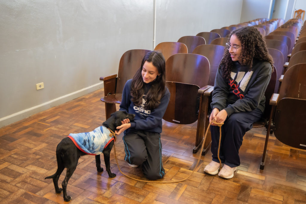 Estudantes participam de aula com animais resgatados pelo Cemsa