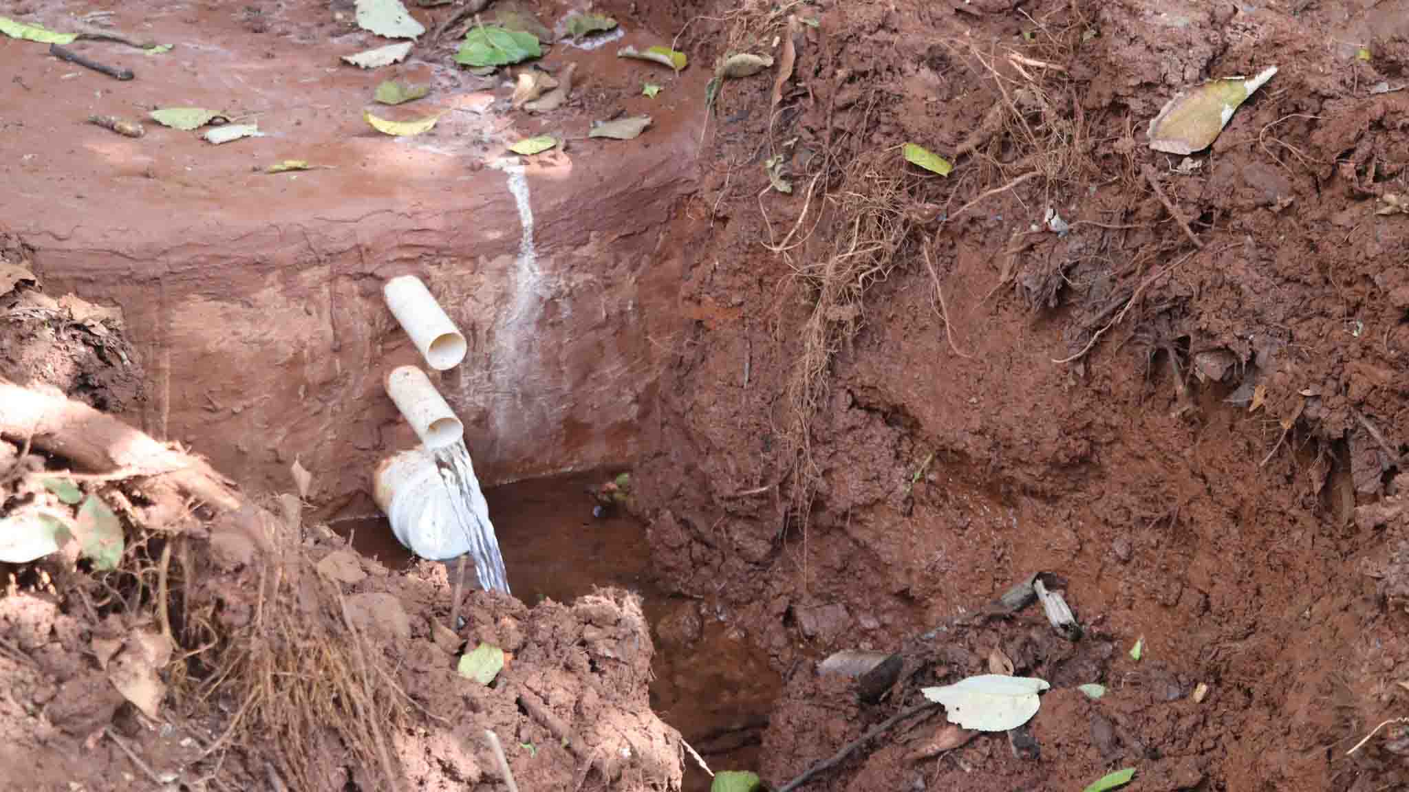 Ivaiporã revitaliza trilha e amplia infraestrutura do Jardim Botânico