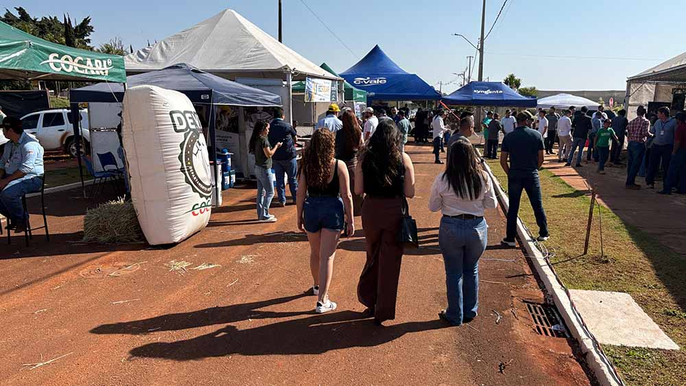 Prefeitura de Jardim Alegre realiza primeira feira Vale do Leite