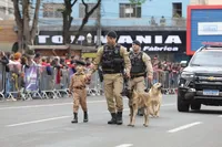 Multidão celebra desfile cívico-militar no centro de Apucarana; veja