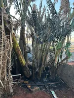 Veja fotos: casa foi totalmente destruída por fogo em Apucarana