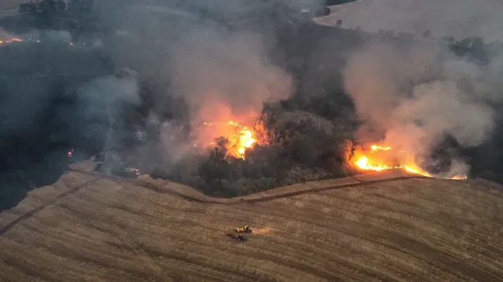 Incêndio em roça na Colônia dos Novos Produtores mobiliza bombeiros