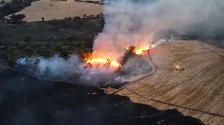 Incêndio em roça na Colônia dos Novos Produtores mobiliza bombeiros