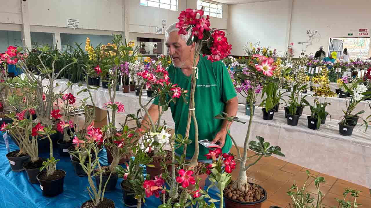 Exposição de Orquídeas em Jardim Alegre atrai grande público