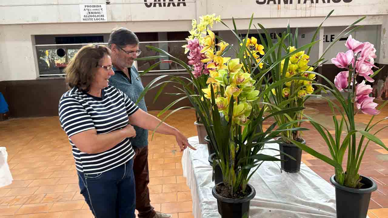 Exposição de Orquídeas em Jardim Alegre atrai grande público