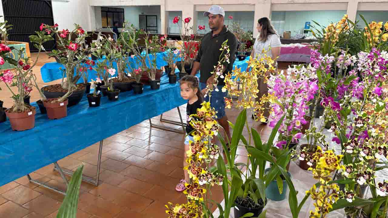 Exposição de Orquídeas em Jardim Alegre atrai grande público
