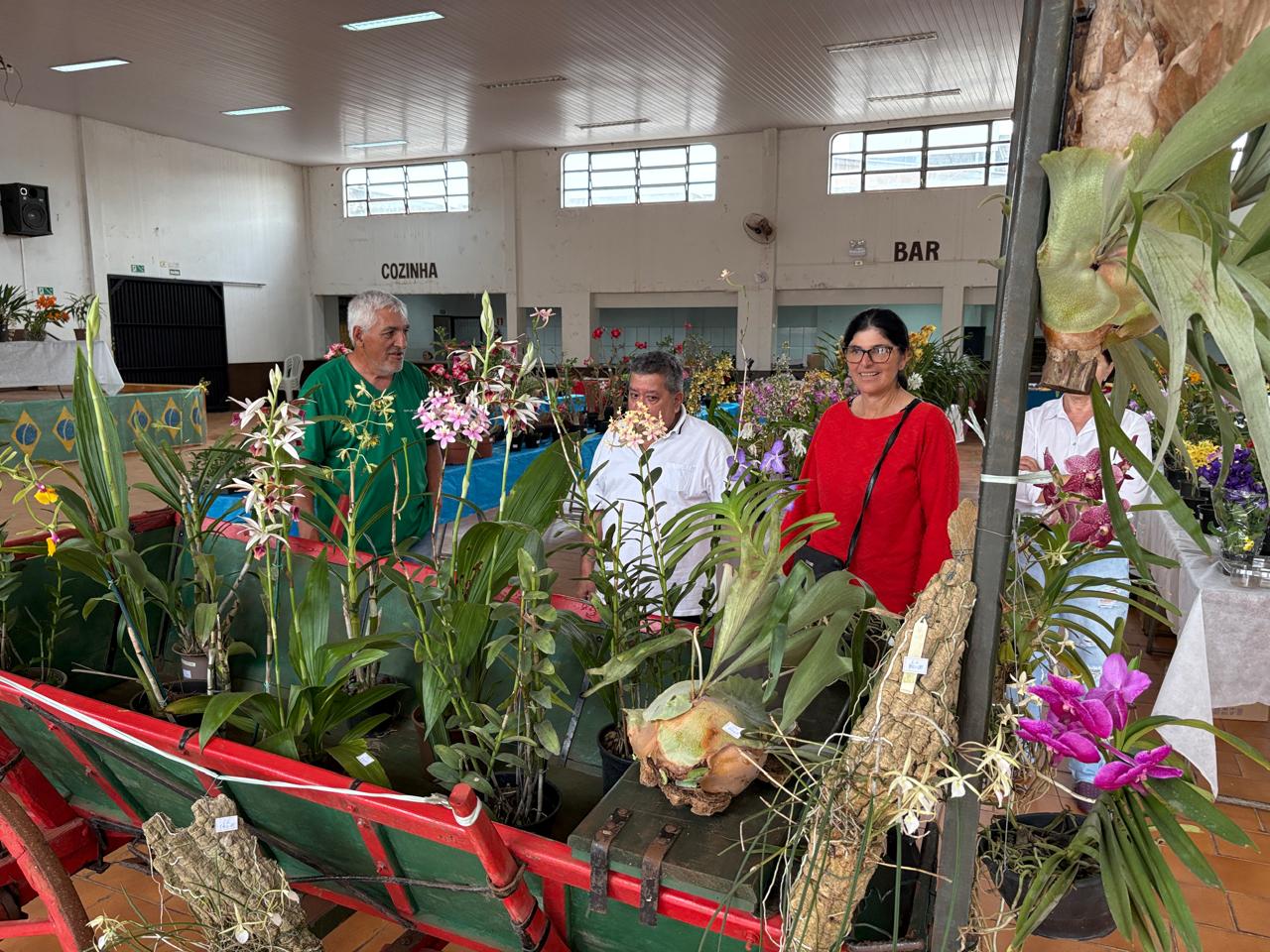 Exposição de Orquídeas em Jardim Alegre atrai grande público