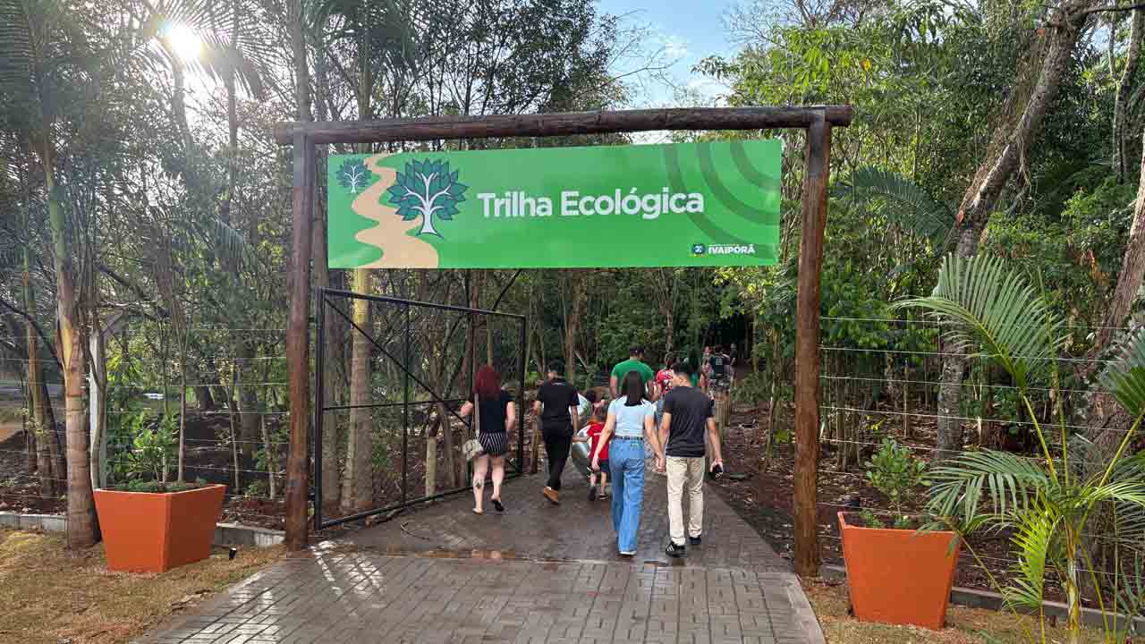 Parque Jardim Botânico é revitalizado e recebe festival esportivo