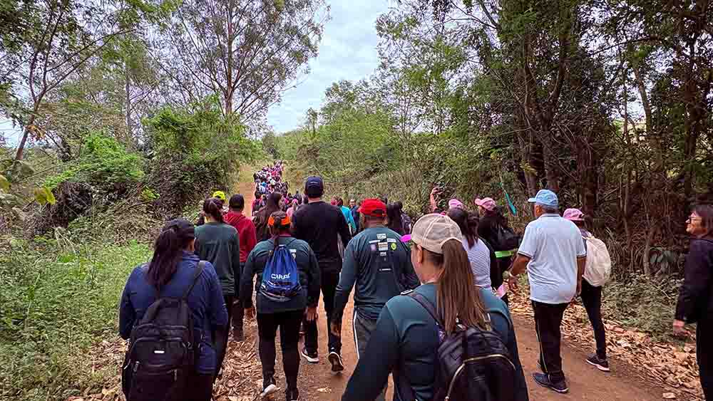 Preservação e integração marcam Caminhada na Natureza em Jardim Alegre