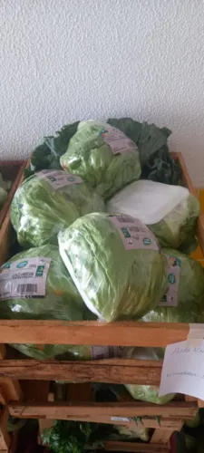 Arapongas reforça compromisso com segurança alimentar no Dia Mundial
