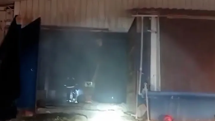 Incêndio destrói aviário e mata 65 mil pintinhos em Campo Mourão (PR)