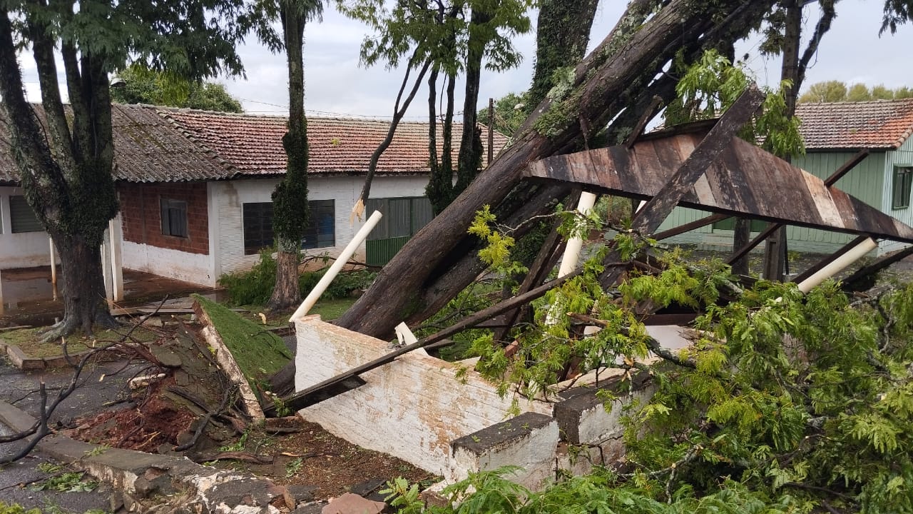 Apucarana teve ao menos 35 quedas de árvores e 12 destelhamentos