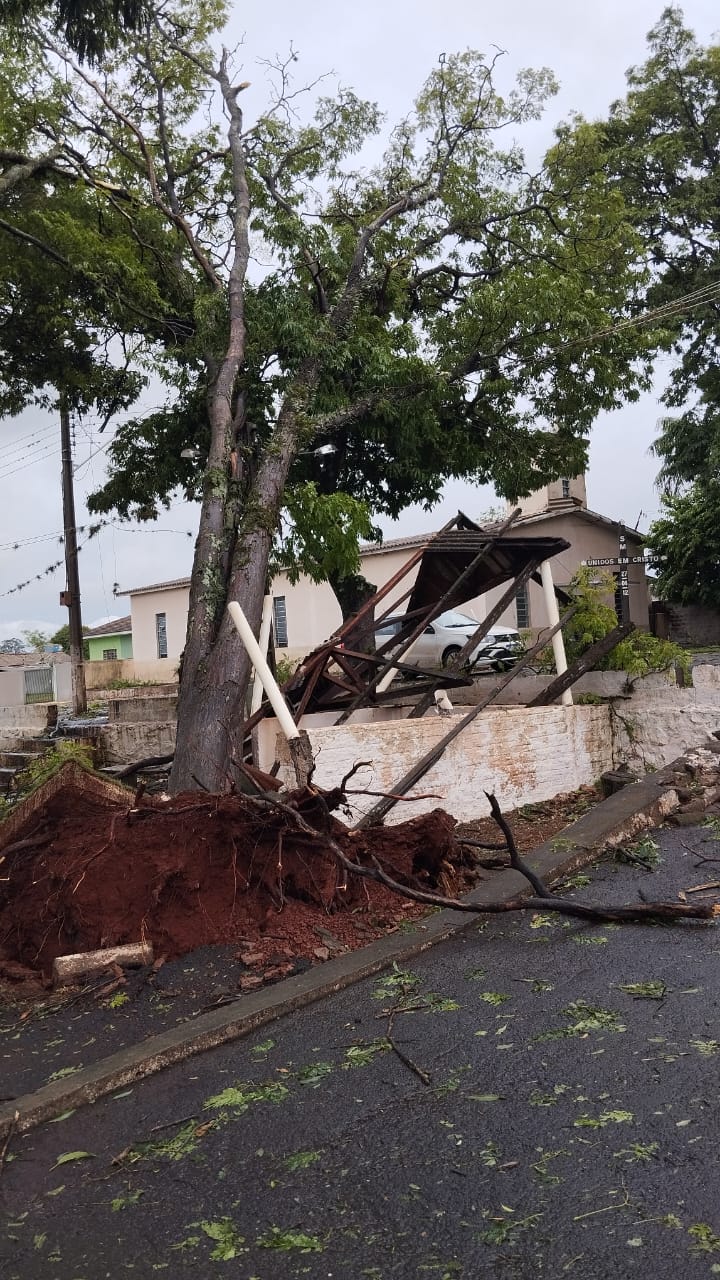 Apucarana teve ao menos 35 quedas de árvores e 12 destelhamentos
