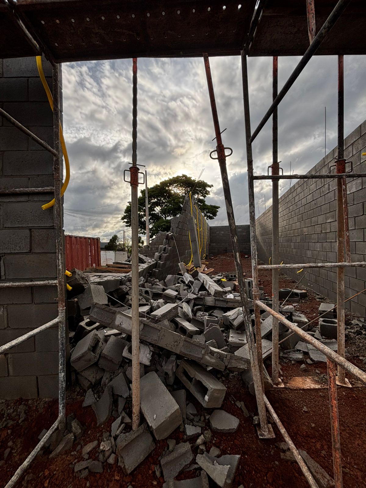 Apucarana teve ao menos 35 quedas de árvores e 12 destelhamentos