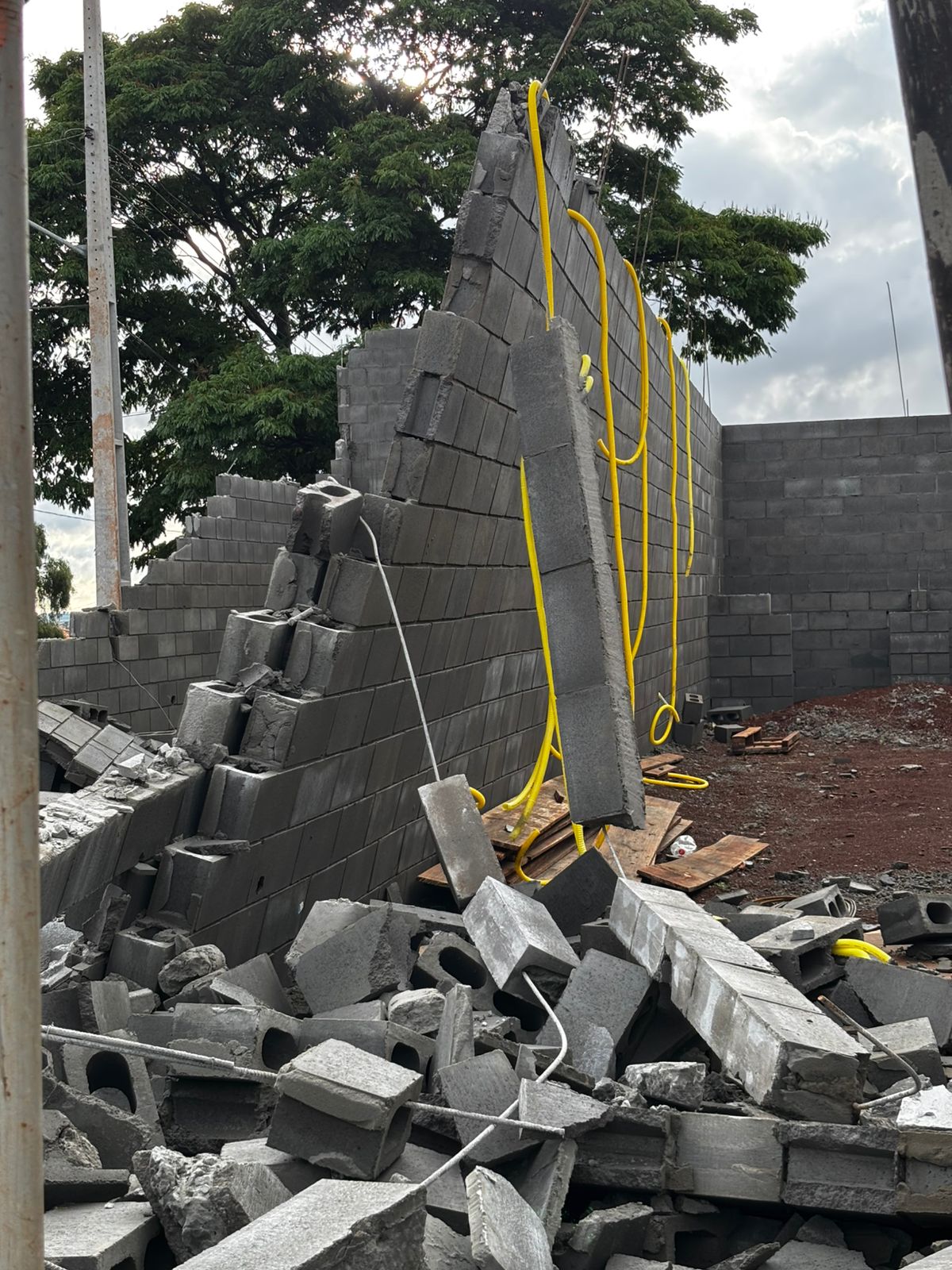 Apucarana teve ao menos 35 quedas de árvores e 12 destelhamentos