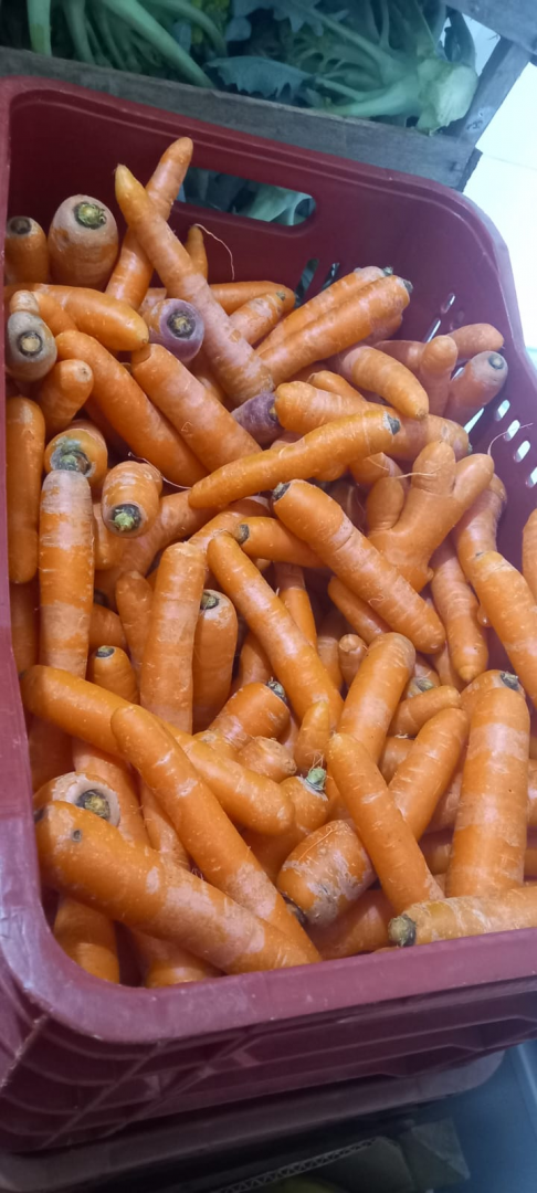 Arapongas reforça compromisso com segurança alimentar no Dia Mundial